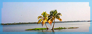 Kerala Backwater, alleppey Backwater
