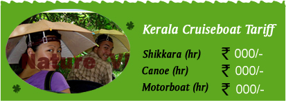 Kerala cruise Tariff