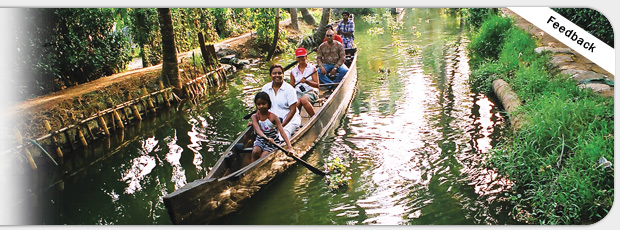 Kerala Villages, kerala Paddyfields
